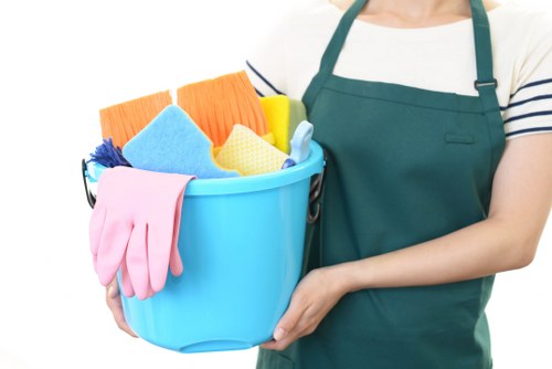 Carpet cleaning professional preparing safe equipment for a job