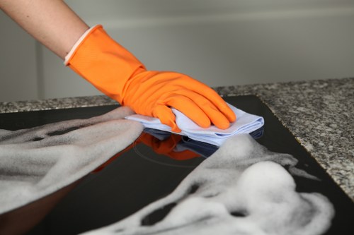 Professional pet stain odour removal on a carpet in Vauxhall