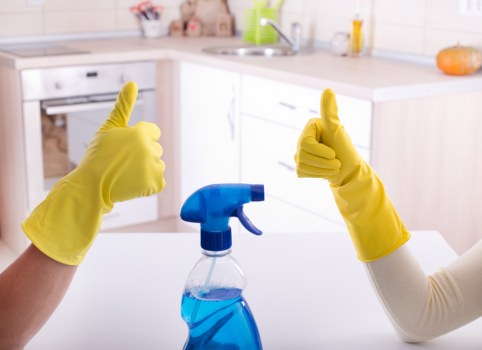 Deep cleaning a fabric sofa with equipment