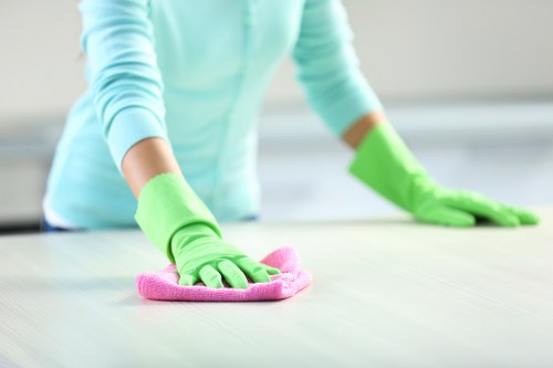 Cleaning pet odour from upholstery in a Vauxhall home