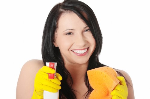 Requesting accessibility help for Vauxhall carpet cleaners website content