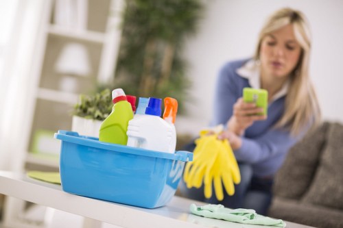Professional cleaner reviewing safety checks before starting work