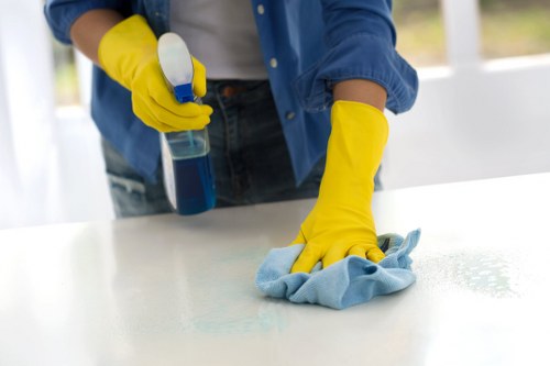 Professional deep rug cleaning process in Vauxhall