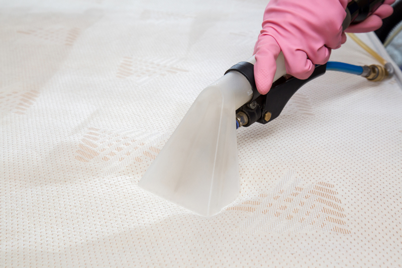 tenancy cleaning carpet cleaning