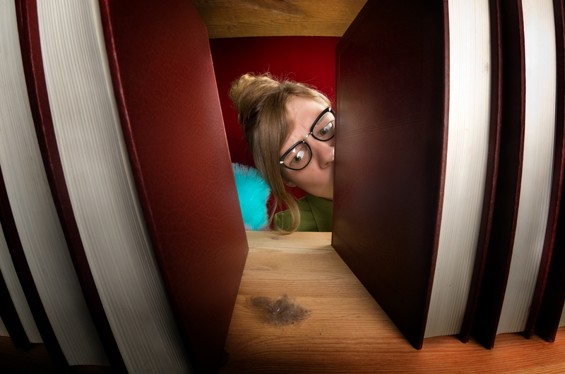 domestic cleaning household cleaning